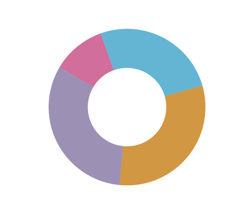 Use of Funds Chart