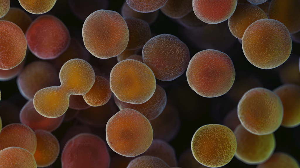 How to Determine if a Probiotic is Good