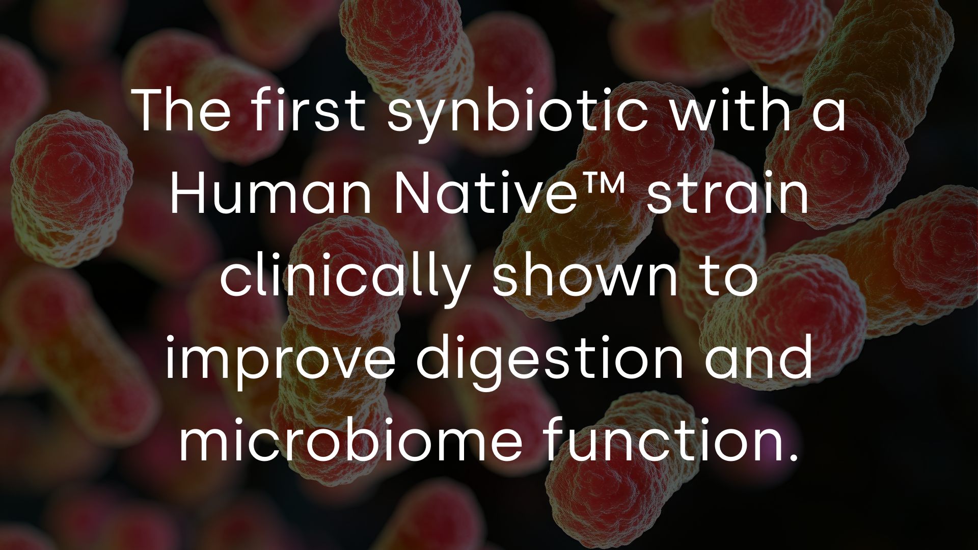 synbiotic